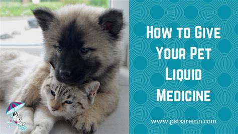 This may dilute their medicine depending on how you do it. How to Give Your Dog or Cat Liquid Medicine