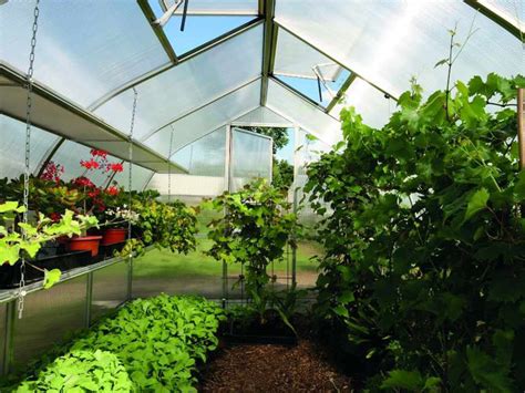 Greenhouse Gardening For Beginners Where Do I Start Greenhouse