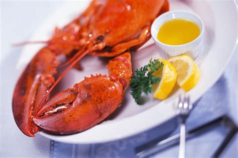 Impress your guests with a dinner party that encompasses the true essence of summer. What Should You Serve As an Appetizer Before a Lobster ...