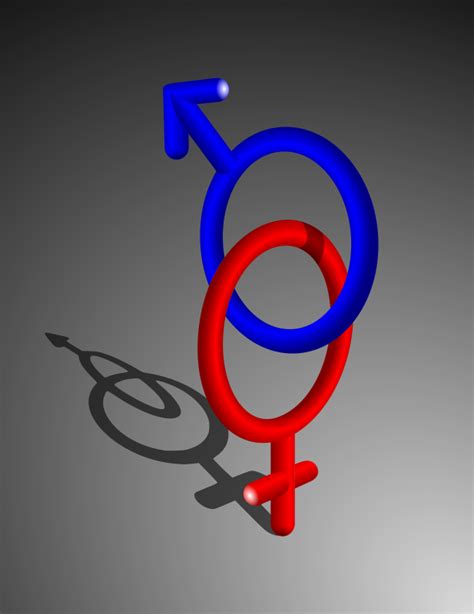 Free Clip Art Male Female Symbols By Gustavorezende