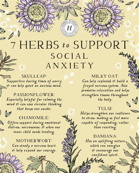 Herbal Academy On Twitter Herbs To Support Social Anxiety These