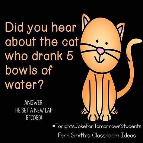 Tonights Joke For Tomorrows Students Did You Hear About The Cat Who