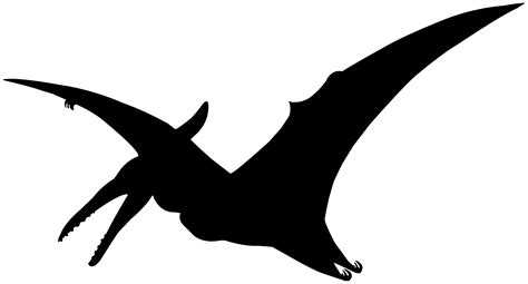 Png Transparent Background Pterodactyl Transparent Free For