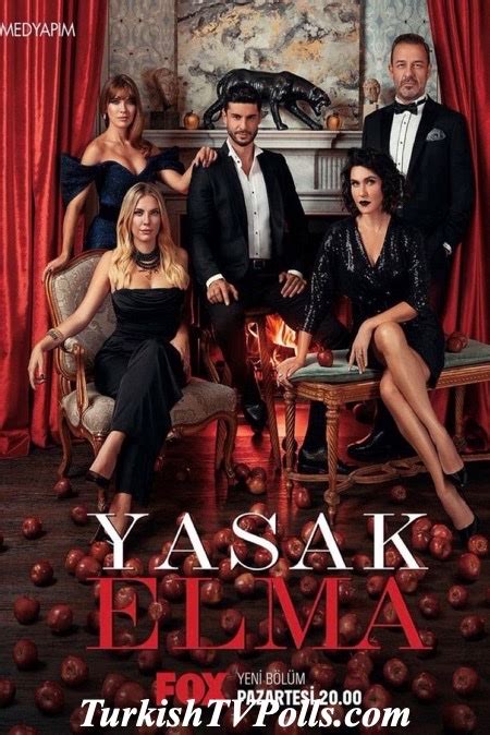 The Best Turkish Tv Series Of December 2021 Turkishtvpolls