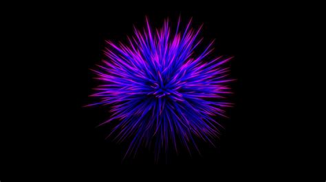 Wallpaper Purple Flower Thorn Black Background Abstract