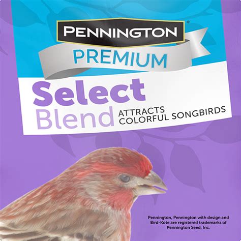 Pennington Premium Select 20 Lbs Wild Bird Seed Bird Food 100542066