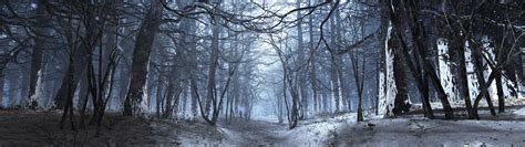 3d Winter Forest Dual Screen Wallpaper 3840x1080 Id49362