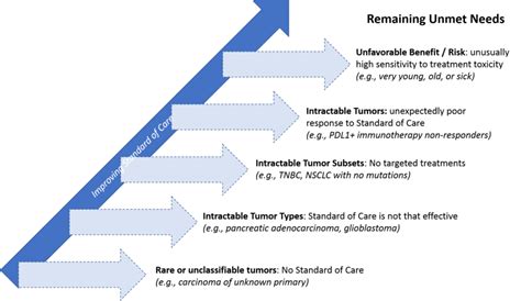 Oncology Trends Part Ii Unmet Needs And Future Advancements