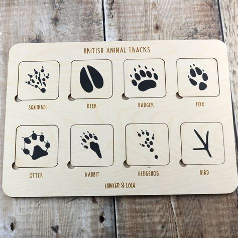 British Woodland Animal Tracks Puzzle Wooden Puzzle Etsy