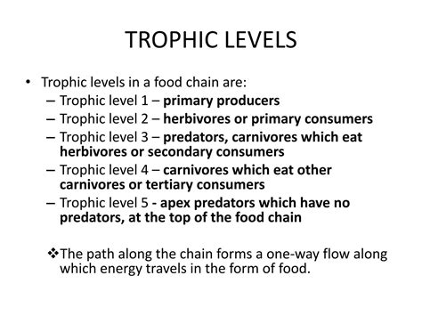 Solution Energy Flow In An Ecosystem And Trophic Levels Studypool