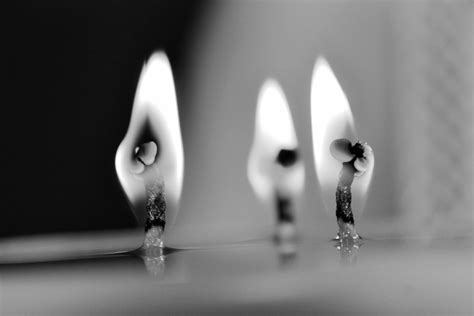 обои : черное и белое, Монохромная фотография, Натюрморт фотография ...