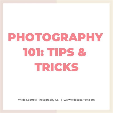 Photography 101 Tips And Tricks Photography 101 Dslr Photography
