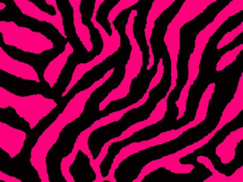 Hot Pink Zebra Wallpapers On Wallpaperdog