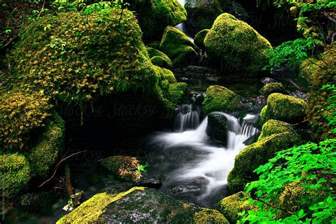 Mossy Rocks With Small Waterfall Stock Image Everypixel