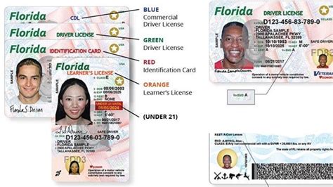 Enhanced Drivers License Florida Hoppersoftis