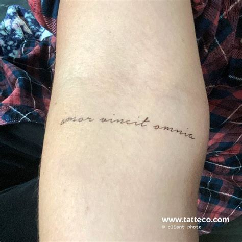 “amor vincit omnia” temporary tattoo get it here