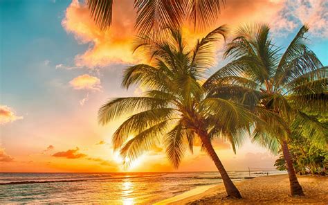 Sunshine Beach Wallpapers - Top Free Sunshine Beach ...