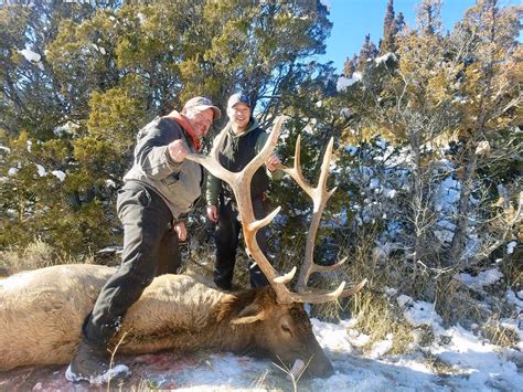 Missoula Hunter Shoots Big Bull Elk Montana Hunting And