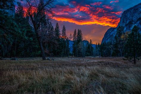 Wallpaper Trees Landscape Forest Mountains Sunset Nature Grass