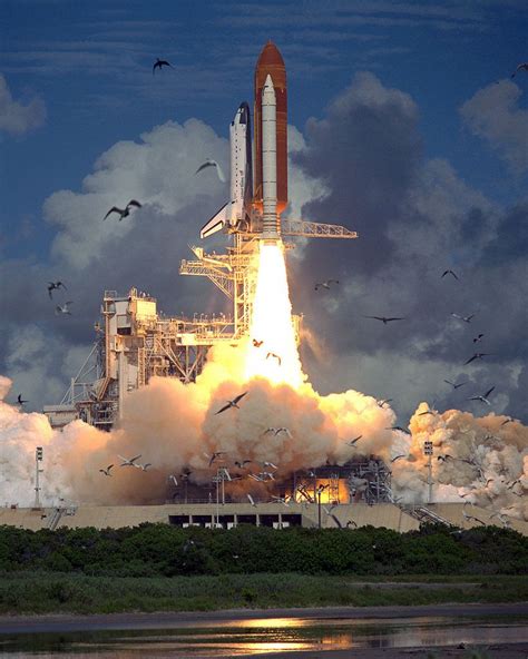 June 21 1993 A Flock Of Birds Takes Flight As Space Shuttle