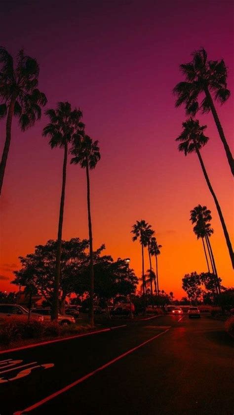 Palm Trees Are Silhouetted Against An Orange And Purple Sky