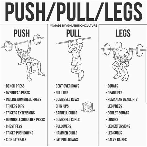 Pushpulllegs Split Follow Nutritionculture For