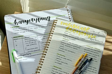 If you've ignored your notes up to this point, you can always get a fresh start with a new notebook. Do pretty notes help you study better? - Baron News