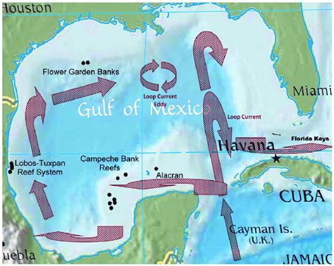 Map Of The Gulf Of Mexico Depicting Examples Of General Known