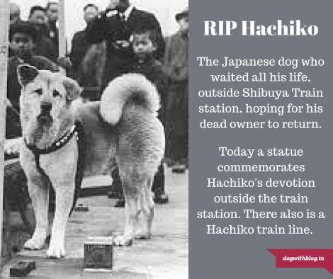 A dog's tale (original title). The true story of the legendary Japanese dog. Hachiko ...