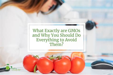 What Exactly Are Gmos And Why You Should Do Everything To Avoid Them