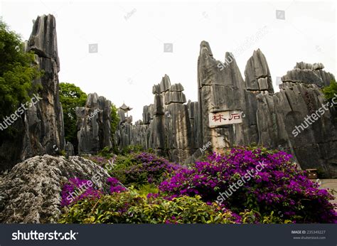 Shilin Stone Forest Kunming China Stock Photo 235349227 Shutterstock