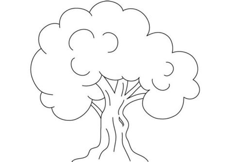 Motivate the child to be creative and make an appealing tree by adding features, like. Kids Drawing of an Oak Tree Coloring Page | Color Luna