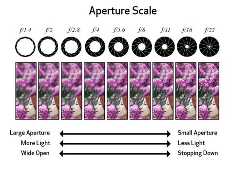 Aperture Diagram Photography Basics Photo Design Aperture