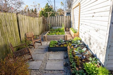 17 Backyard Homestead Ideas For Living Independently Grocycle