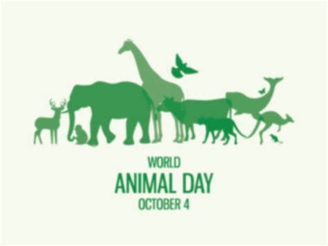 World Animal Day October 4 Calendarr