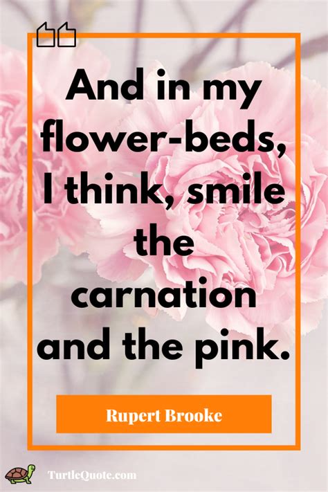 60 Positive Pretty In Pink Quotes About Life Turtle Quotes