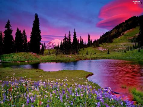 Flowers River Mountains Beautiful Views Wallpapers 1600x1200