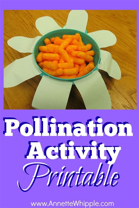Pollination Activity Pollination Activity Spring Science Preschool