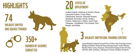 Donate To Help End Illegal Wildlife Trade Wwf India