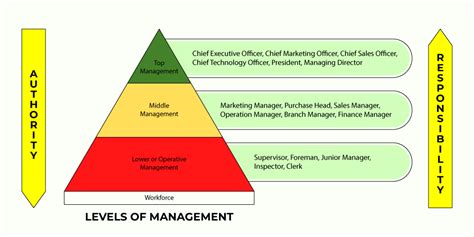 Levels Of Management Top Middle And Lower Geeksforgeeks