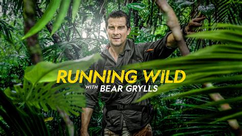 Running Wild With Bear Grylls National Geographic Fyc