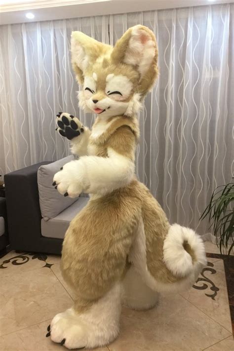 Kemonocute Cat Fursuit Fursuit Furry Anime Furry
