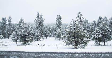 Bundle up Flagstaff, snow and cold weather is on its way