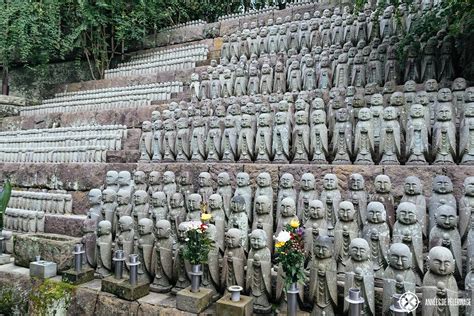 The 10 Best Things To Do In Kamakura Japan How To Get There