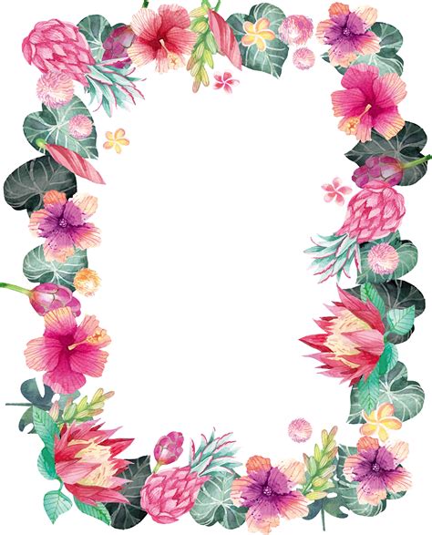Watercolor Flower Frame Png