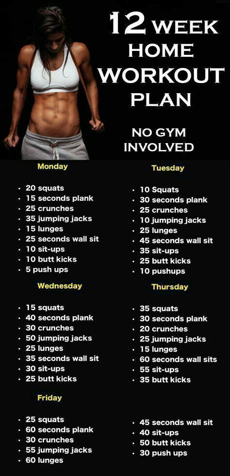 No Equipment Full Body Home Workout At Home Workout Plan Workout