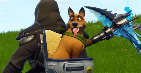 Fortnite Season 6 Pets How To Unlock The New Items A Definitive Guide