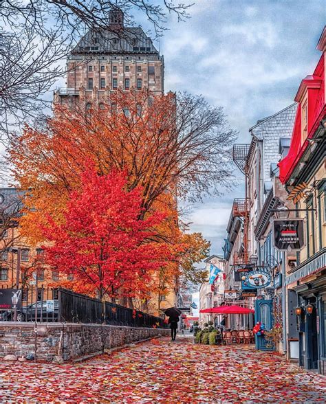Quebec City During Autumn R Cozyplaces