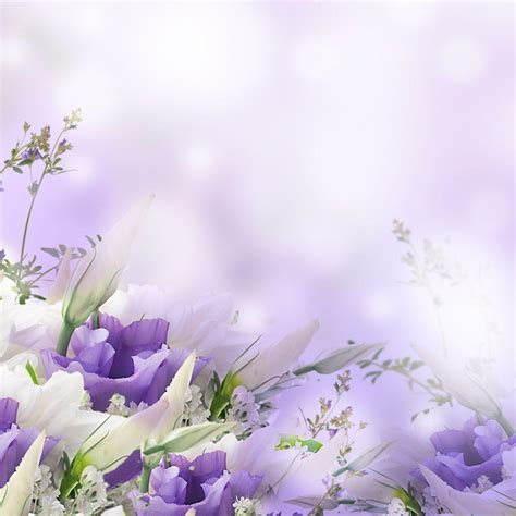Funeral Flower Background Pictures Best Flower Site