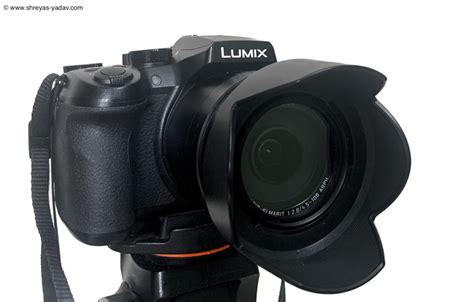 Best Bridge Camera For Wildlife Photography Lumix Fz300 2023